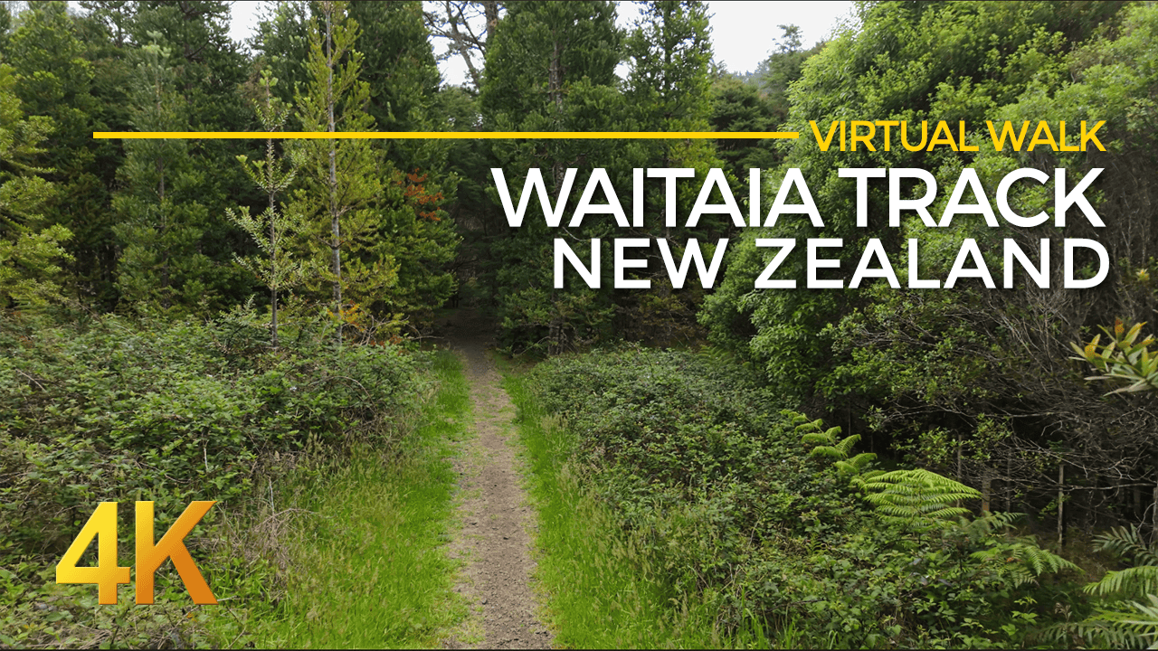 Waitaia Track - Gold Mining Trail