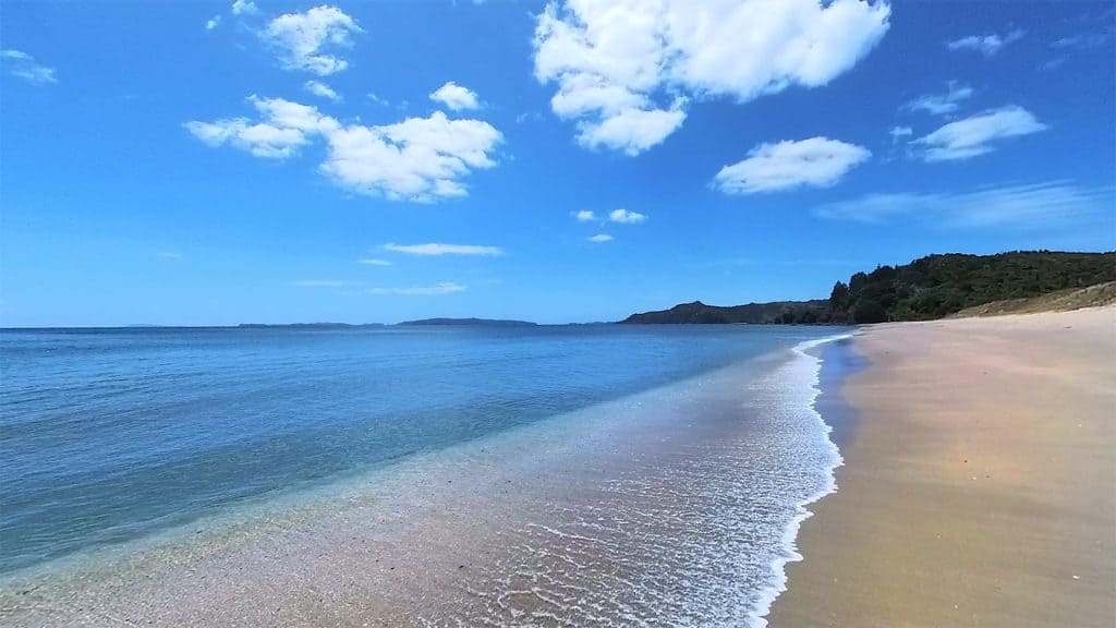 Bluff Road to Rings Beach - 360 8K