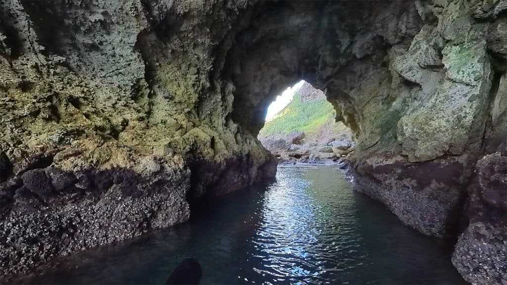 Motukoranga island - Exploring the Island Caves