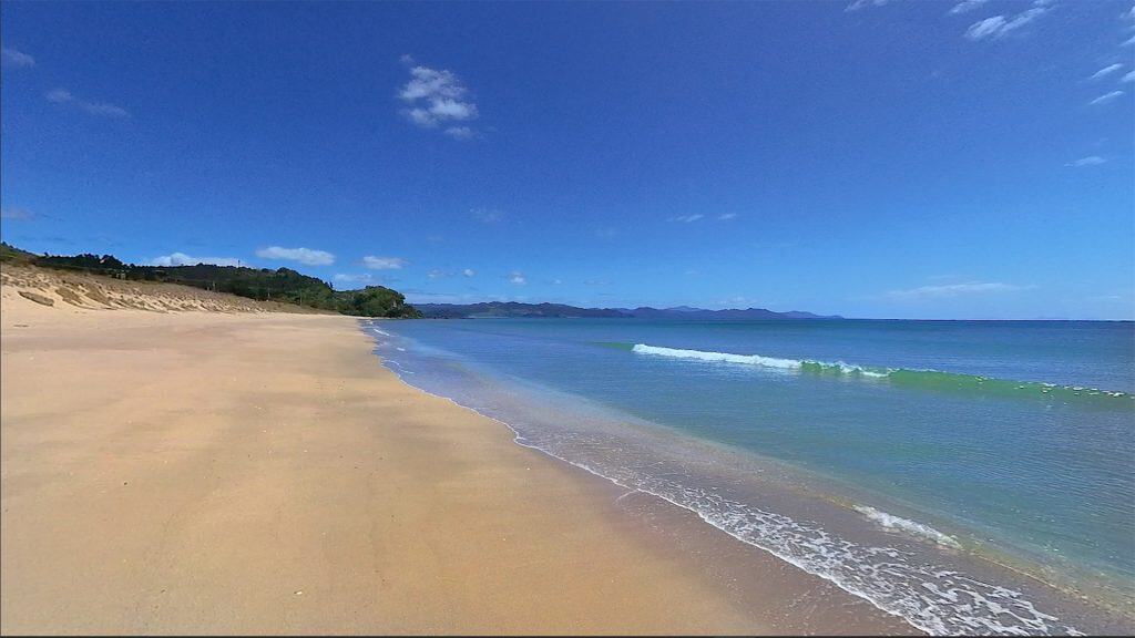 Rings Beach to Bluff Loop in 8K 360