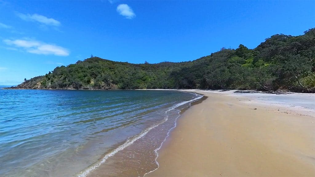 Sandy Bay New Zealand 360 8K VR