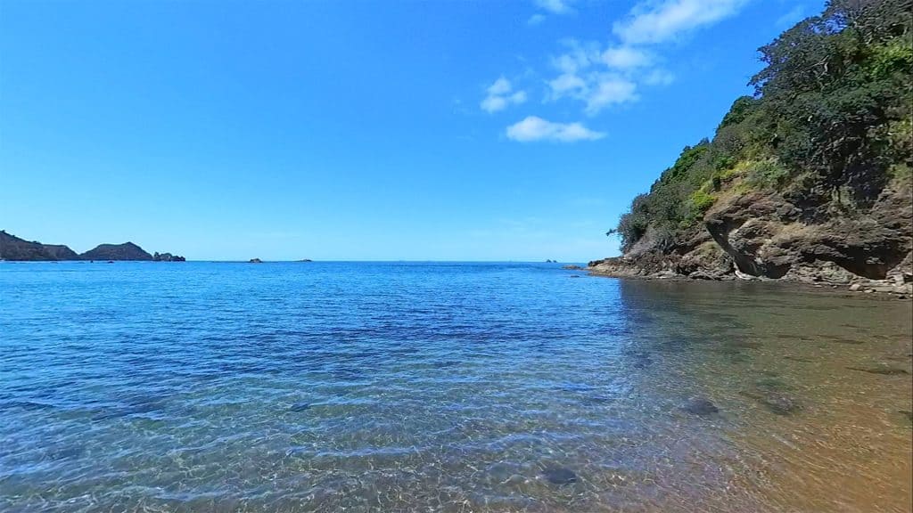 Sandy Bay New Zealand 360 8K VR