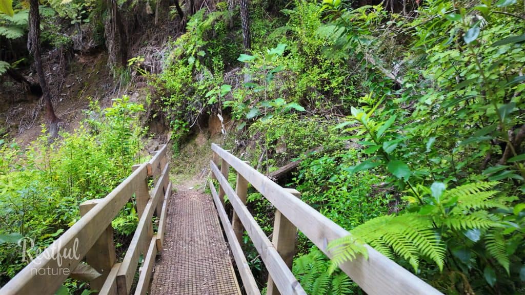 Waitaia Track - Gold Mining Trail