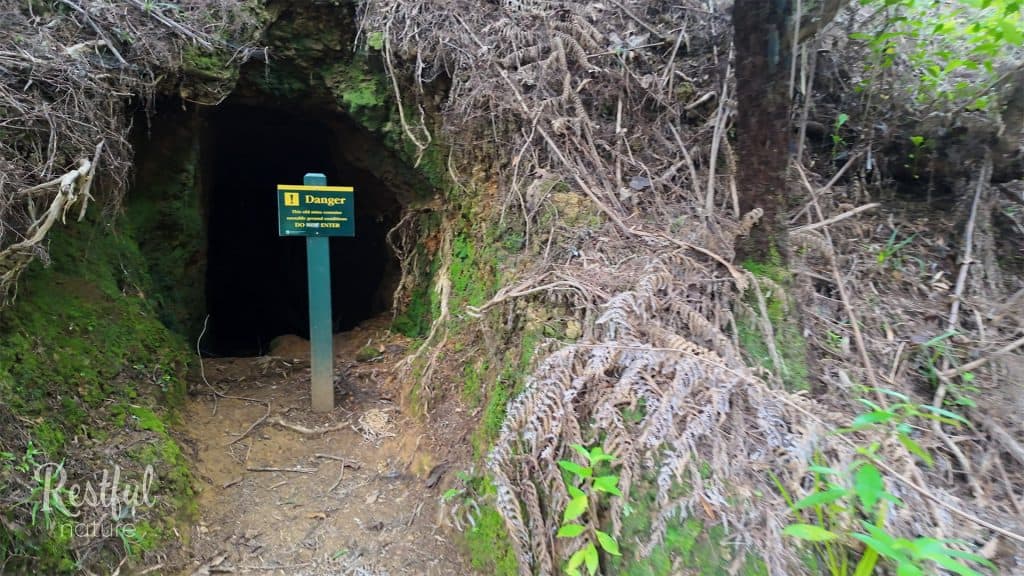 Waitaia Track - Gold Mining Trail