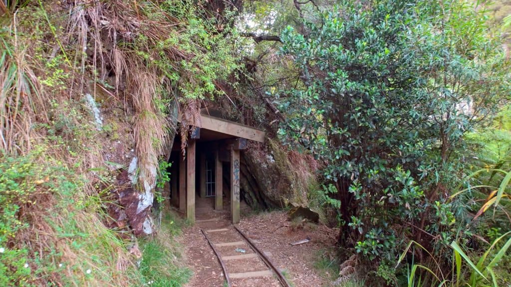 Karangahake Gorge 2